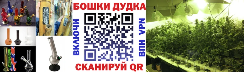 Купить Макаров Галлюциногенные грибы  Гашиш  Кетамин  A-PVP  Кокаин 
