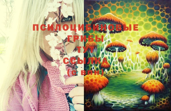 MDMA Premium VHQ Богданович