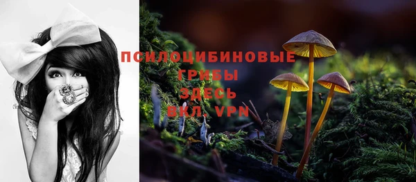 синтетический гашиш Богородицк